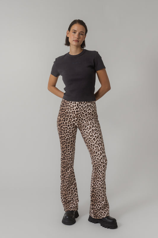 Oh April Tia Bootcut Leggings Leo