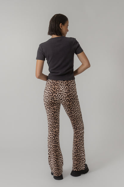 Oh April Tia Bootcut Leggings Leo